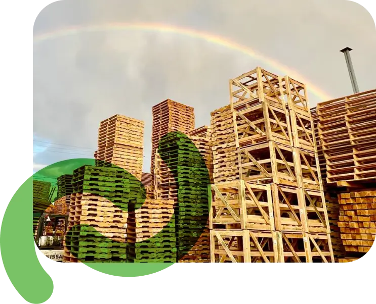 Impacto ambiental